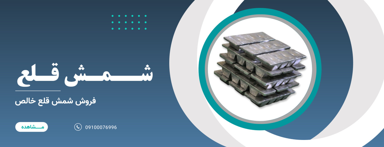 domingo-1766479822333